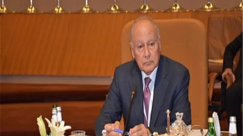 أبو الغيط يدعو لإنشاء سوق عربية مشتركة للكهرباء