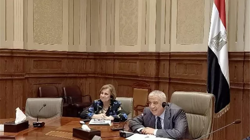 لأول مرة في تاريخ البرلمان بالفيديو كونفرانس خارجية النواب تبحث تعزيز العلاقات المصرية النيوزلندية
