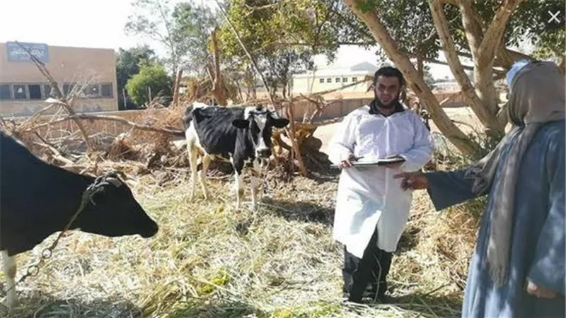 أسيوط.. قوافل بيطرية وإرشادية بالقرى الممولة من برنامج التنمية الزراعية