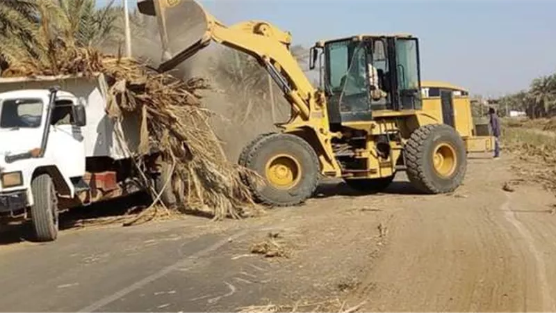 الوادي الجديد ترفع مخلفات النخيل تفاديا للحرائق ..صور