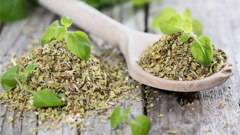 البردقوش سلاح ذو حدين ... اليك الأضرار والفوائد