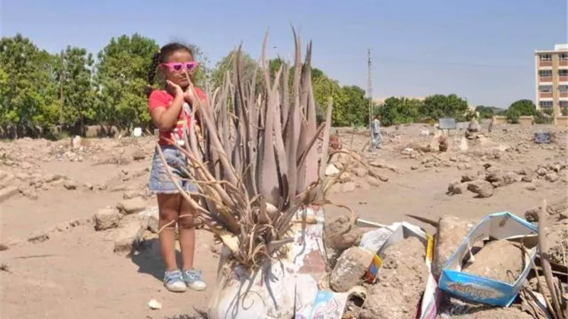 تجدد المناوشات بين شباب طفنيس المطاعنة والكيمان وسطيح