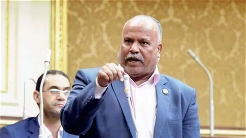 طلب مناقشة حول سياسة الحكومة لتعظيم الاستفادة من الثروة المعدنية