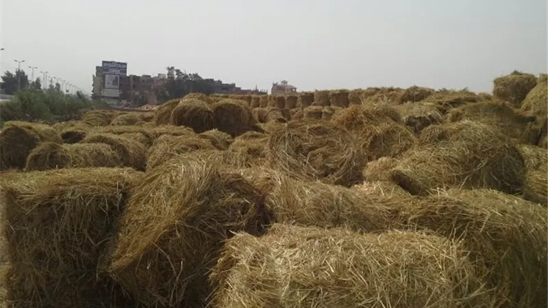 السيطرة على حريق هائل بالدقهلية.. وخسائر ٦ ملايين جنيه