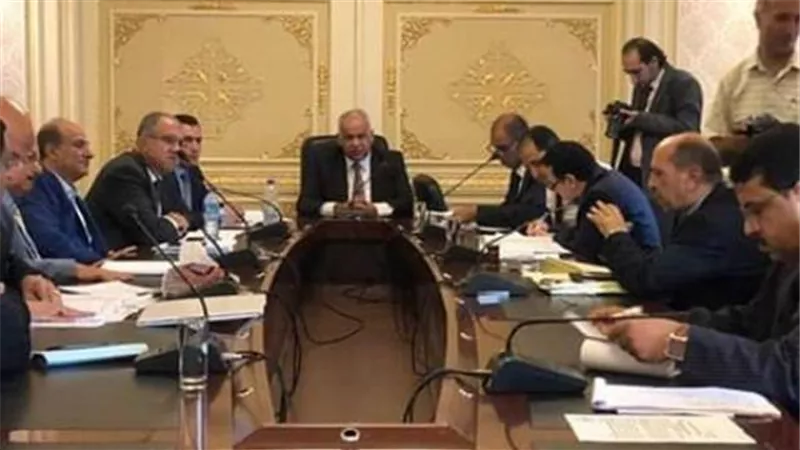 صناعة النواب: 
