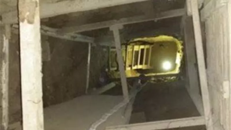 ضبط 5 بينهم ربة منزل أثناء التنقيب عن الأثار بشبين القناطر