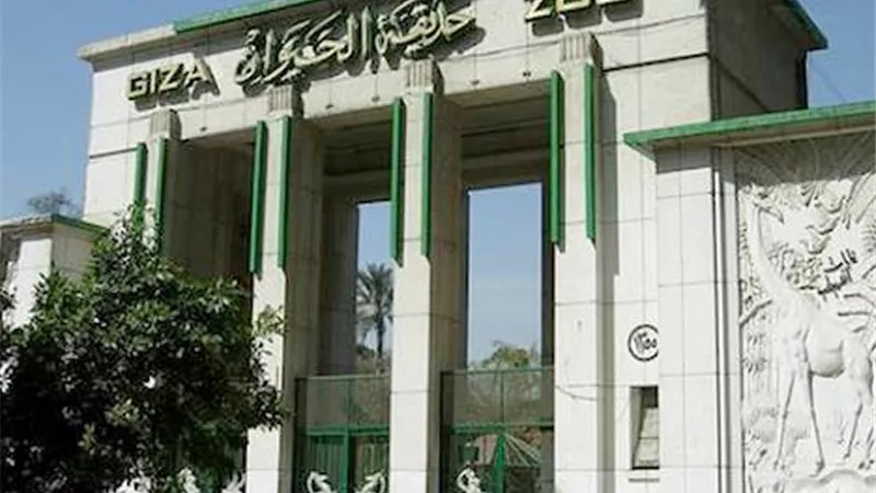 الزراعة: استيراد فيل جديد و2 من سباع البحر من الصين لحديقة الحيوان