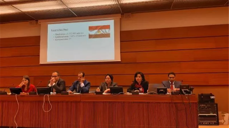 نشطاء يطالبون المجتمع الدولى بالتحرك لإدانة الإرهاب لتأثيره على أوضاع حقوق الإنسان بمصر