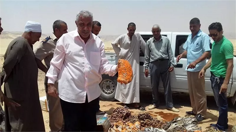 إعدام 2 طن دقيق فاسد و800 كجم حلوى المولد بسوهاج