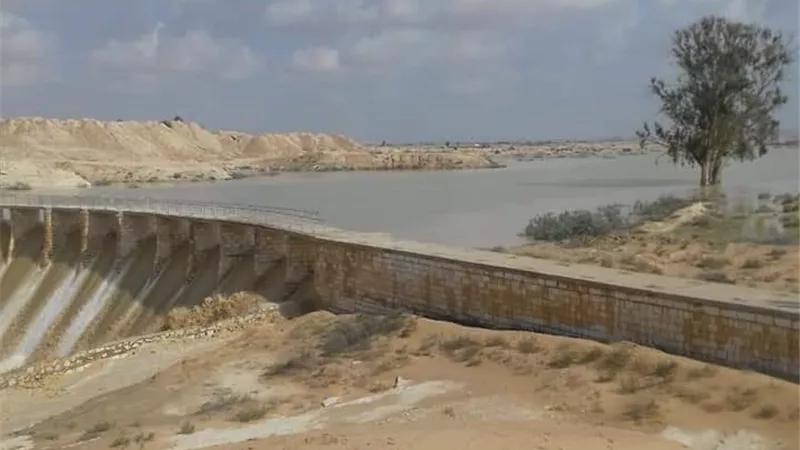 ( زراعة 25 ألف فدانا بالقمح والشعير بالاستفادة من مياه السيول فى وسط سيناء )