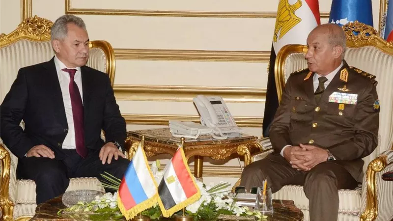 الفريق أول محمد زكى القائد العام للقوات المسلحة يلتقى وزير الدفاع الروسى