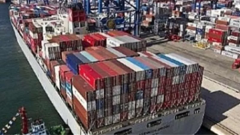 تداول 216 شاحنة و34 سيارة بموانئ البحر الاحمر