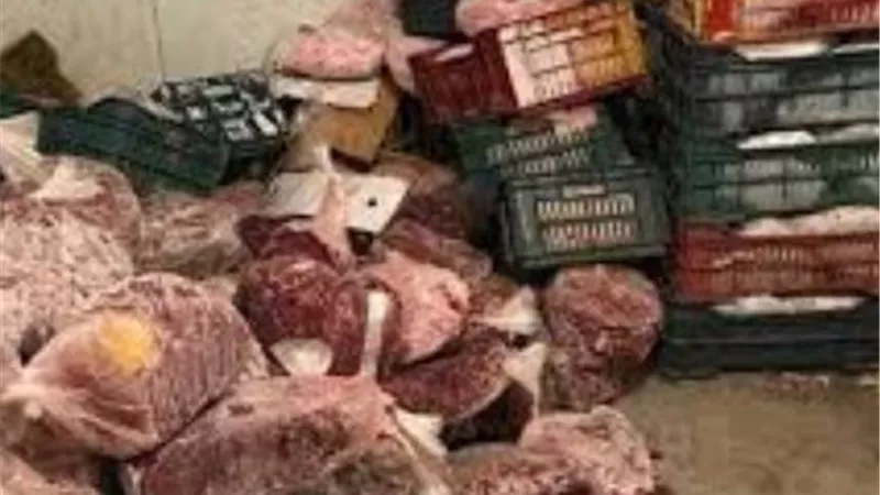 الزراعة: ضبط أكثر من 2 طن لحوم ودواجن واسماك غير صالحة للاستهلاك الأدمي