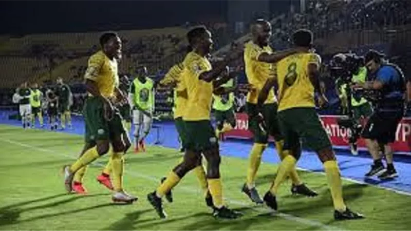 جنوب أفريقيا تُسقط الأفيال بهدف قاتل