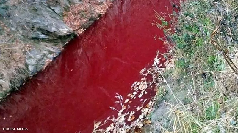نهر يتحول الى دماء حمراء..والسبب غريب