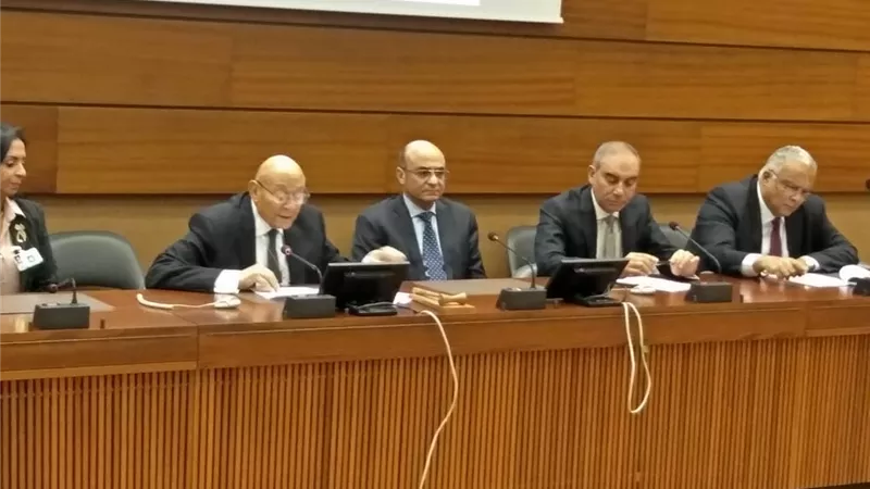 الأمم المتحدة تحتفى بذكرى بطرس غالى