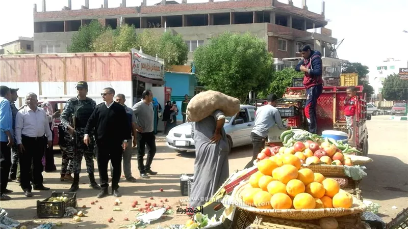 تحرير محاضر وإزالة التعديات فى حملة لتحقيق الانضباط بالوادى الجديد..صور