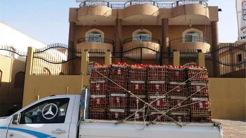 مستقبل وطن بدر يستمر فى مبادرة تخفيض أسعار الخضروات.. تعرف على الأماكن والأسعار
