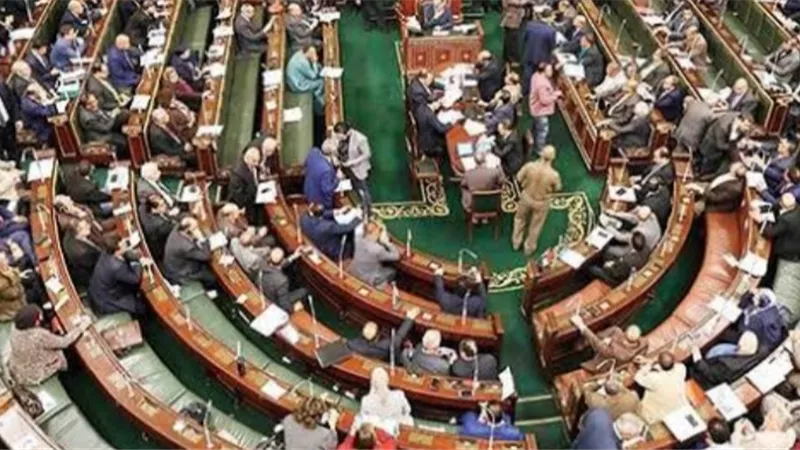 مقترح برلمانى فى قانون الأحوال الشخصية الجديد يسمح بمعرفة الدخل الحقيقى للأزواج فى حالة الطلاق