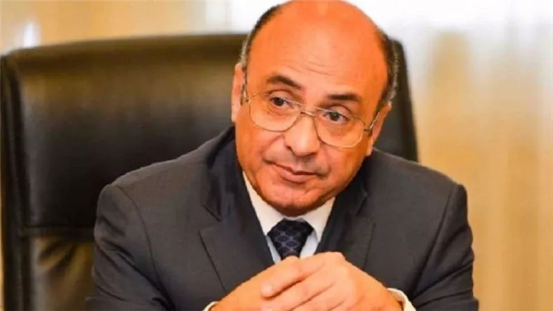 عمر مروان للوكالة الفرنسية: القانون والدستور المصري يحمي حق التظاهر.. والتجاوزات مرفوضة