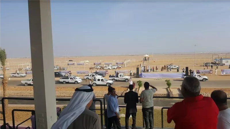 انطلاق المهرجان الثاني لسباق الهجن بشرم الشيخ