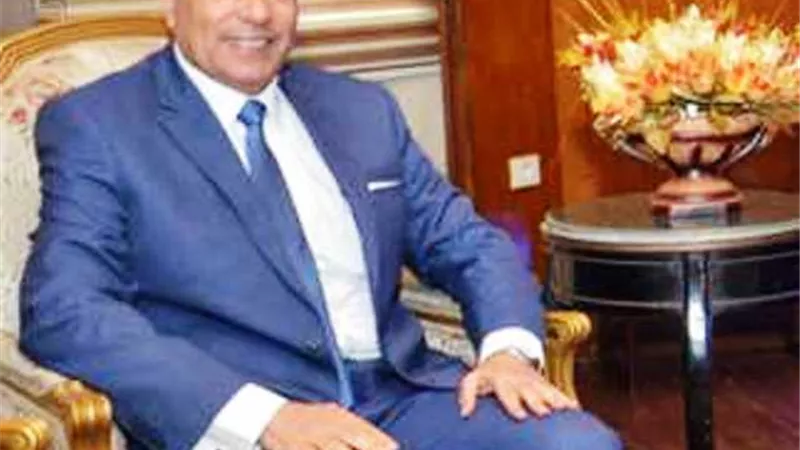 إصابة شخص وضبط ٧ فى مشاجرة الجرابعه ببنى سويف