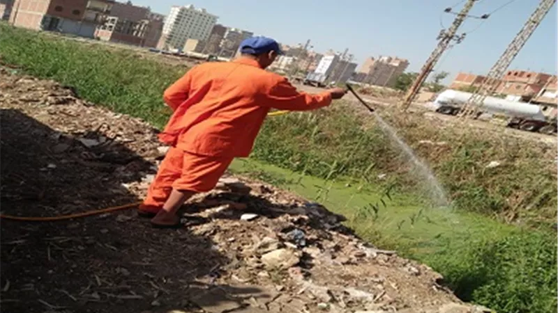 استمرار النشاط المكثف لمكافحة الذباب وناقلات الأمراض بالشرقية