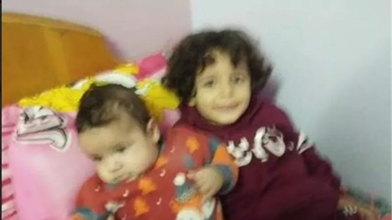 نقل 