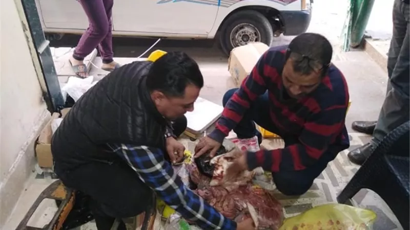 ضبط اسماك ولحوم واغذية فاسدة في حملة بالاسماعيلية