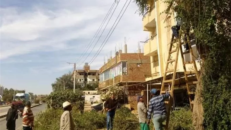 بالصور.. رؤساء الأحياء يقودون حملة نظافة ورفع مخلفات بالوادى الجديد
