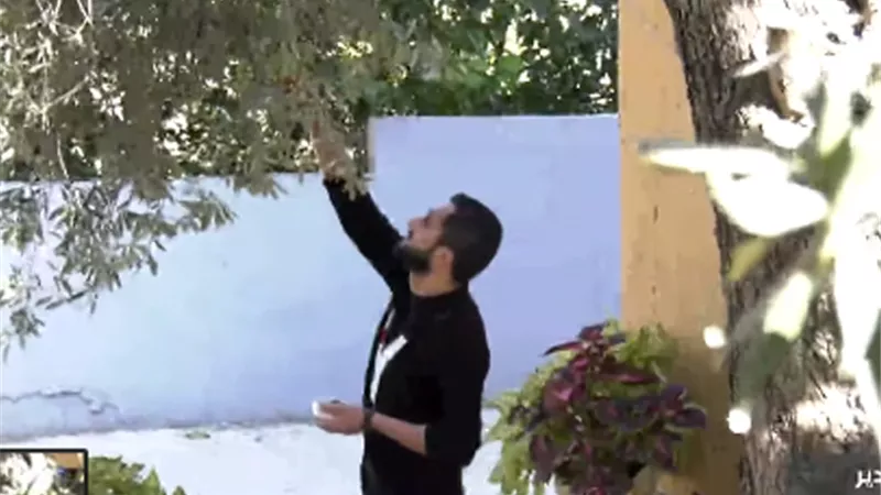 فنان فلسطيني شاب يجسدَ قضيةَ ومعاناةَ وطنِه من خلال الرسم على حباتِ الزيتون