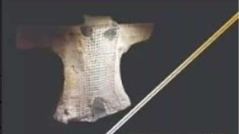معرض 