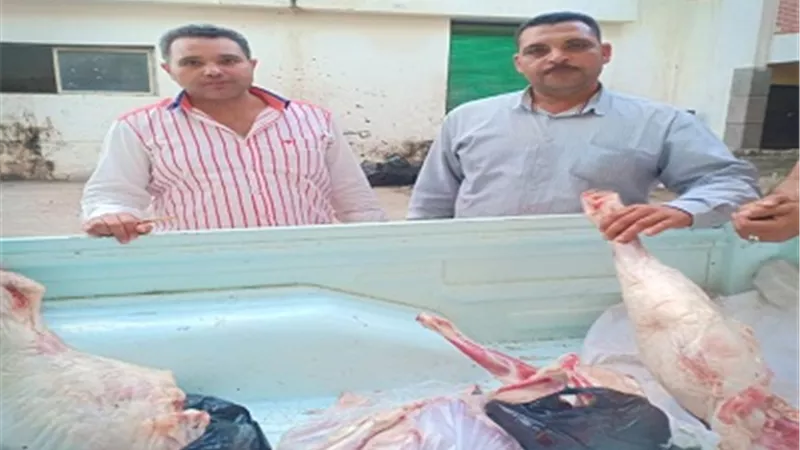 ضبط أكثر من 18 طن لحوم ودواجن واسماك غير صالحة للاستهلاك الأدمي