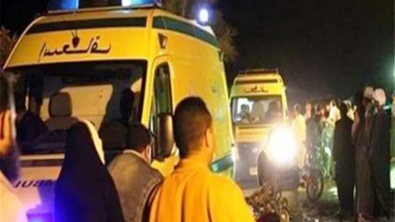 مصرع وإصابة ١٥ فى حادث على طريق الفرافرة بالوادى الجديد