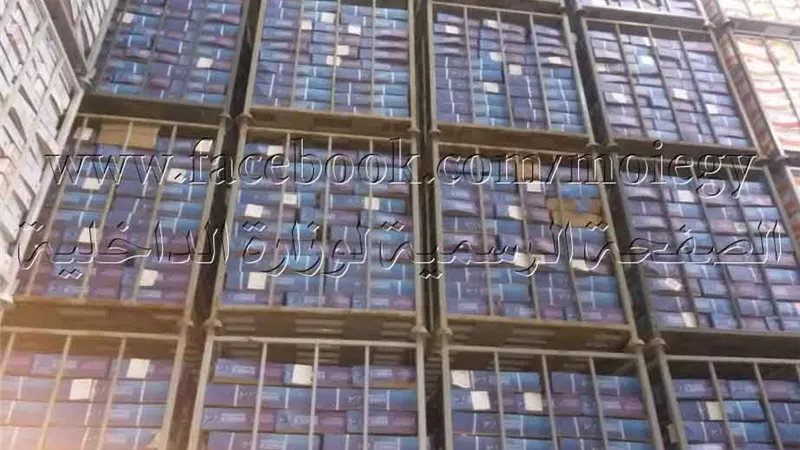 ضبط 25 طن أسماك منتهية الصلاحية بالقليوبية