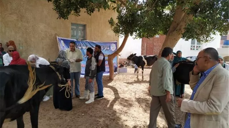 انطلاق الحملة القومية للتحصين ضد الحمى القلاعية في الإسماعيلية