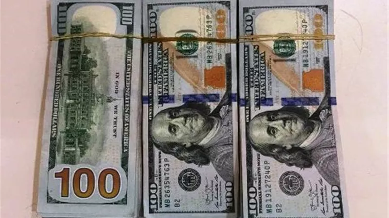 ضبط راكب حاول تهريب ٢٨ ألف دولار إلى الامارات