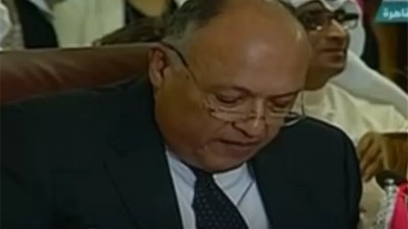 شكري : فلسطين قضية العرب المركزية ويجب التصدى لمحاولات تهميشها