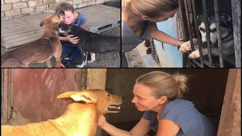 هجوم حاد من شيرين رضا ضد هيئة الطب البيطرى .. لهذا السبب