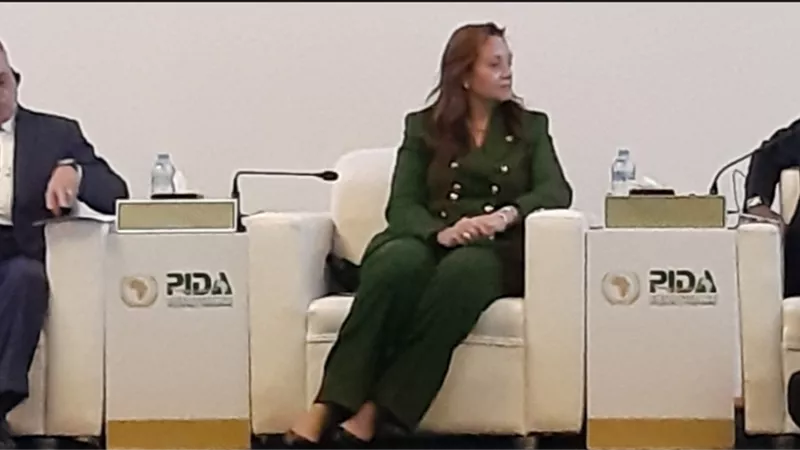 انطلاق الجلسة الثانية ل PIDA بعنوان 