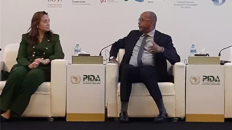 د.ابراهيم ماياكي : وضعنا خطة لدعم البنية التحتية الافريقية تتضمن مجالات المياه والطاقة والنقل والتكنولوجيا