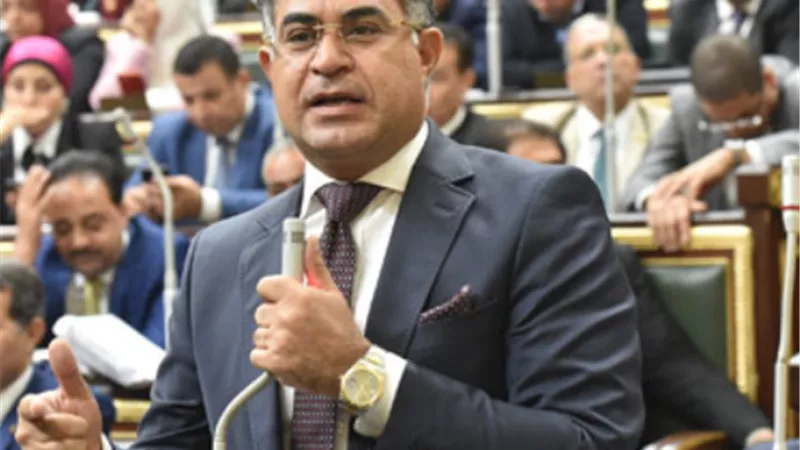 سليمان وهدان: المشروعات القومية التي افتتحها السيسي في جنوب بورسعيد نقلة تاريخية