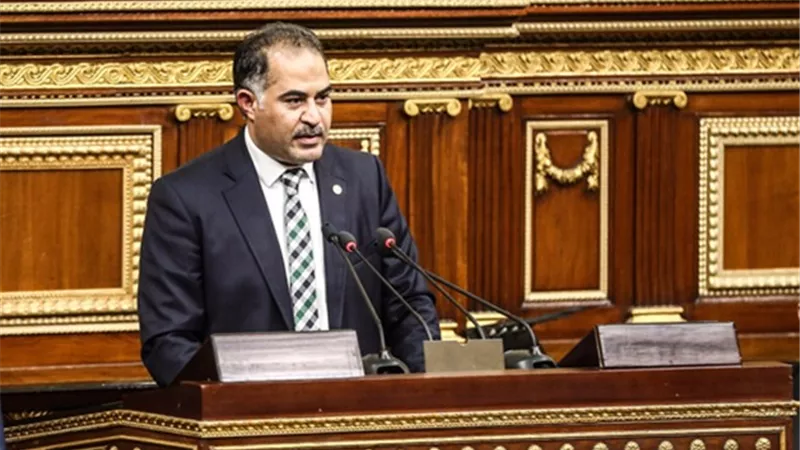 وهدان: المشروعات القومية التي افتتحها السيسي في جنوب بورسعيد نقلة تاريخية
