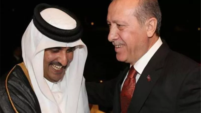 أردوغان يكشف: تميم أعجب بمشاريعنا شمال شرقي سوريا