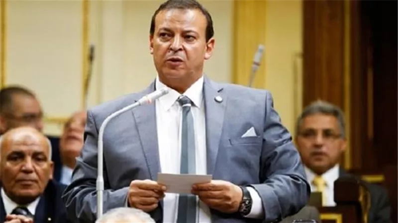 برلمانى يشيد بتبنى جامعة القاهرة لـ 