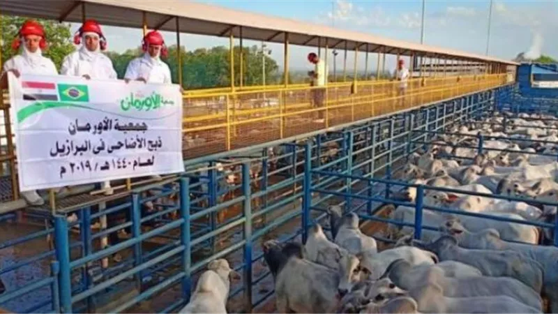 جمعية الاورمان بأسيوط تبدأ في توزيع 50 طن لحوم و10 ألاف بطانية ولحاف للأسر الأكثر احتياجًا