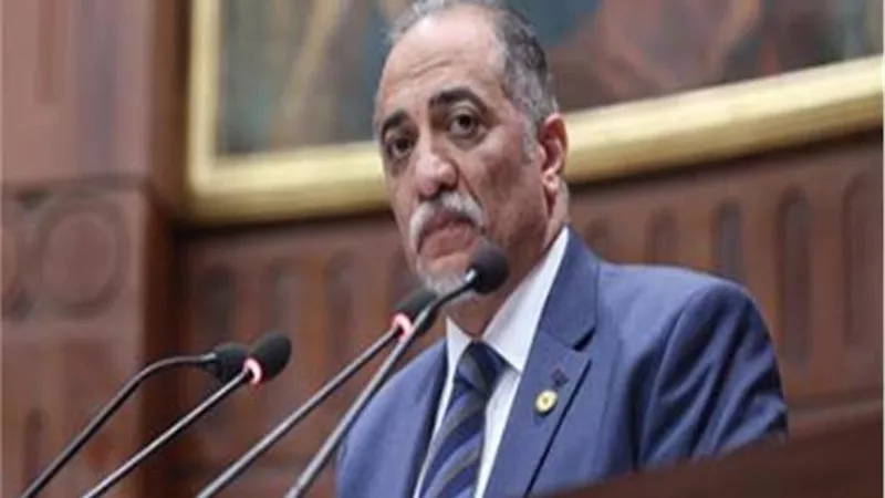 تضامن النواب تبدا أولى جلسات مناقشة قانون الصحة النفسية