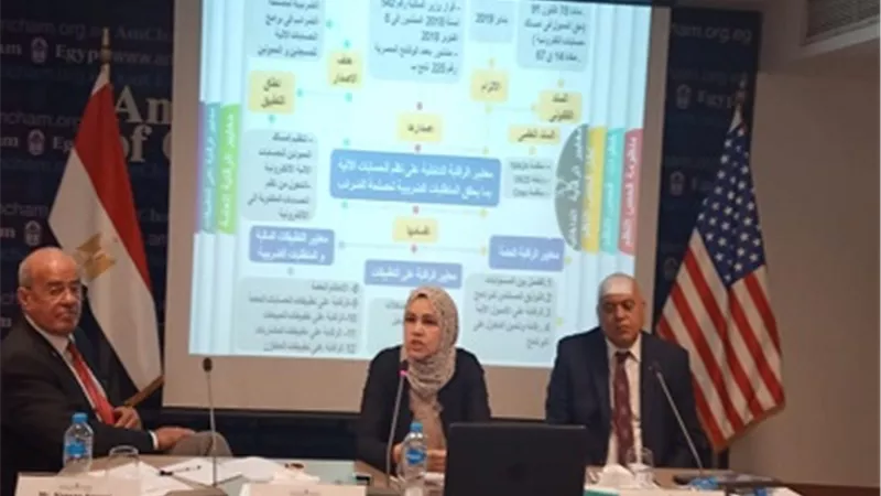 رشا عبدالعال: معايير فحص الحسابات الإلكترونية تحقق الدقة وتمنع الفحص التقديري