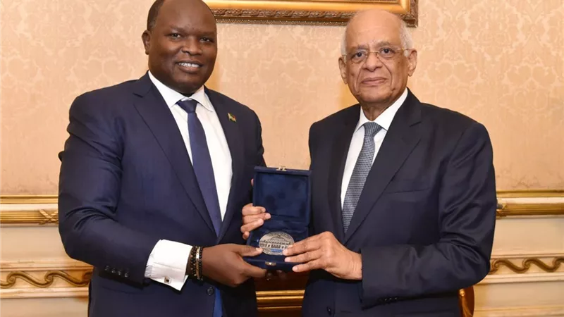 عبد العال يستقبل سفير جنوب السودان في مصر