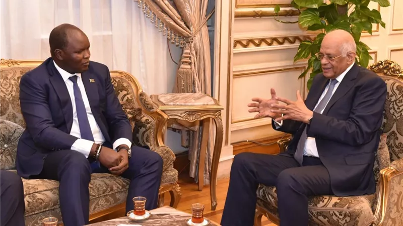 عبدالعال: مصر حريصة على تقديم الدعم لدولة جنوب السودان الشقيقة